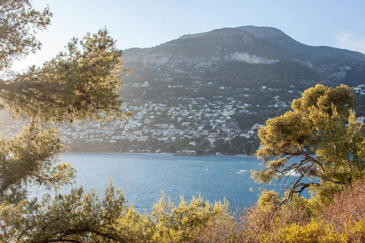 Postcards From the French Riviera