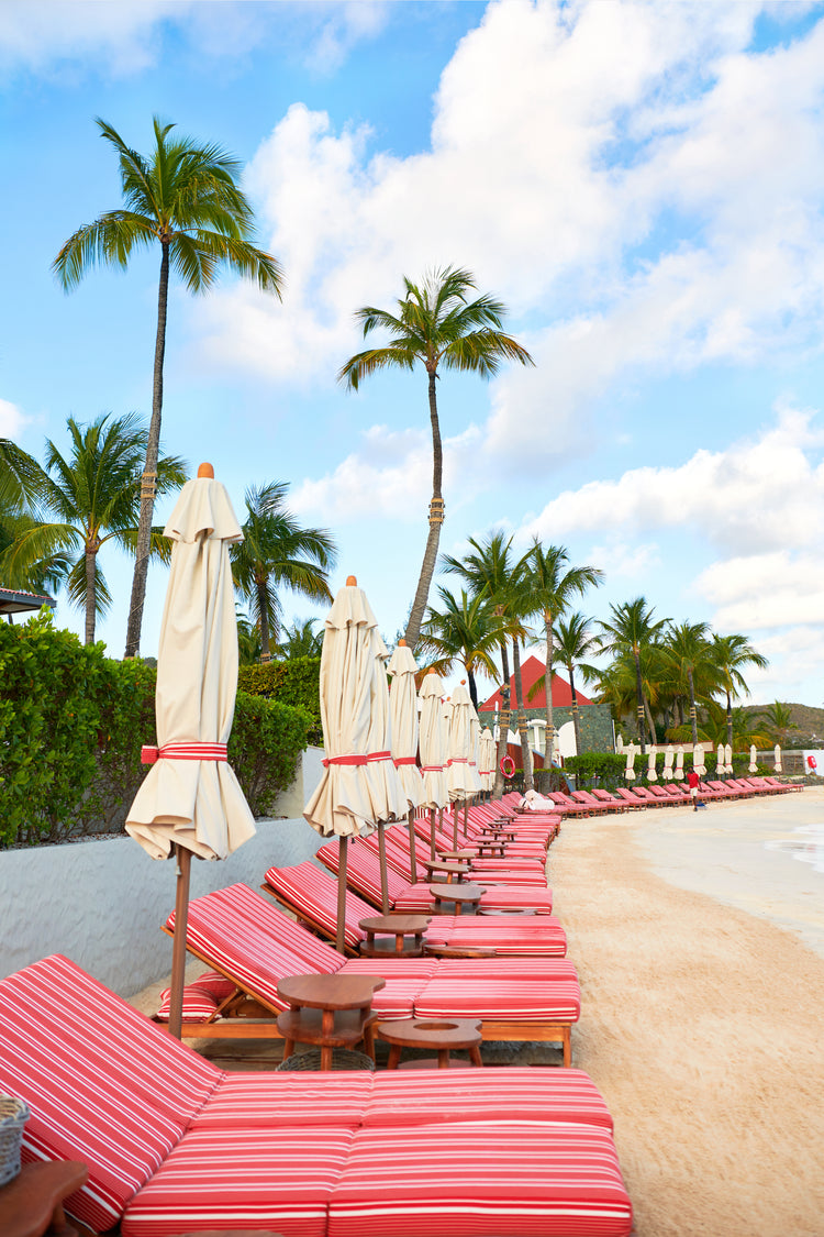 Rangée de transats rayés rouge et blanc sous les cocotiers en bord de plage, Saint-Barthélemy