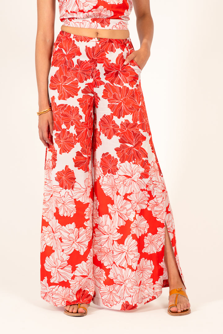Pant Clea - Red Flower Bunch